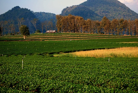 Im&oacute;veis Rurais em Mato Grosso do Sul